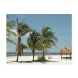 Lone Beach At Fort Myers Beach Florida Postcard