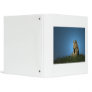 Lone Coyote Vinyl Binder