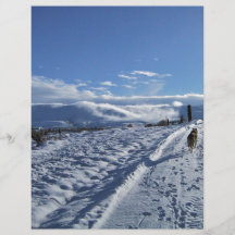 Lone dog in snow road custom flyer
