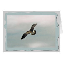 Lone Flight Card