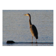 Lone Heron Business Card