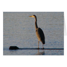 Lone Heron Greeting Card