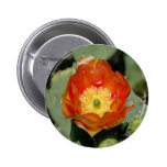 Lone Orange Prickly Pear Pinback Buttons