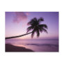 Lone palm tree at sunset, Coconut Grove beach 2 Postcard