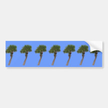 Lone Palm Tree Bumper Sticker