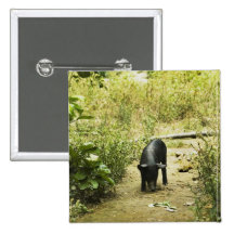 Lone Pig (2) Pin