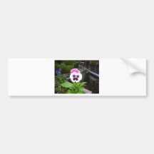 Lone Purple and White Pansy Bumper Stickers