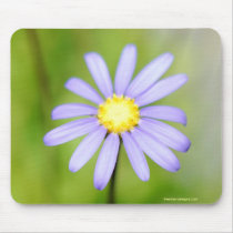 Lone Purple Flower Mouse Mats