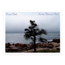 Lone Sentinel on the Ocean Path Postcards