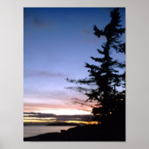 Lone Sentinel Print