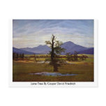 Lone Tree By Caspar David Friedrich Postcard