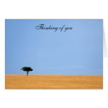 Lone tree card