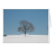 Lone tree in the snow greeting cards