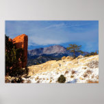 Lone Tree Print