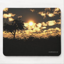 Lone tree sunset mouse mats