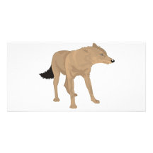 Lone Wolf -Mystery Canine! Photo Card Template