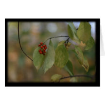 Lonely Berries Card