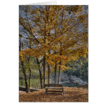 Lonely...But Beautiful Card