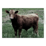 Lonely Cow Greeting Cards