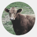 Lonely Cow Round Sticker