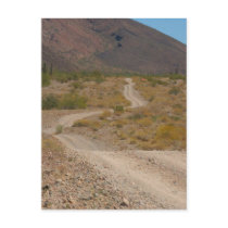Lonely Desert Road 01 Post Cards