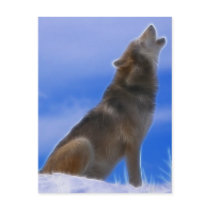 Lonely Howling Endangered Grey Wolf