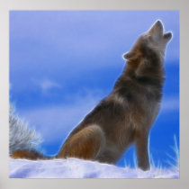Lonely Howling Endangered Grey Wolf