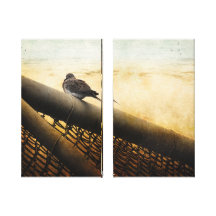 Lonely Mourning Dove Stretched Canvas Prints