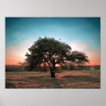 Lonely pear tree posters