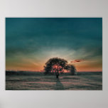 Lonely pear tree posters