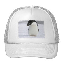 Lonely Penguin Baseball Hat