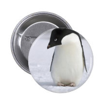 Lonely Penguin Pin