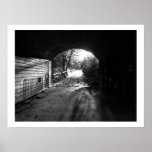 Lonely Poster