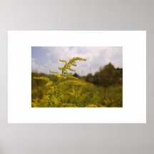 Lonely Print