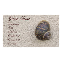 Lonely Snail on the Wall Profile Card Business Card Template
