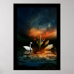 Lonely Swan Print