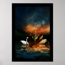 Lonely Swan Print