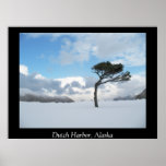 Lonely Tree, Dutch Harbour, Alaska Print