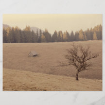 Lonely tree full color flyer