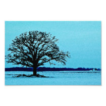Lonely Tree in a Winter Landscape Photo Art