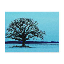 Lonely Tree in a Winter Landscape Postcard