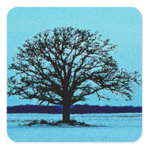Lonely Tree in a Winter Landscape Square Sticker