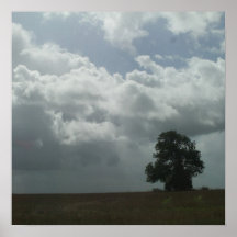 Lonely Tree. Poster