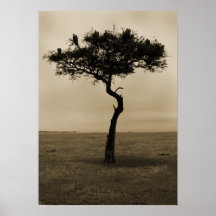 Lonely Tree Posters