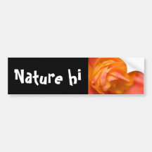 lonely truth bumper sticker