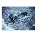 LonelyDuck business cards
