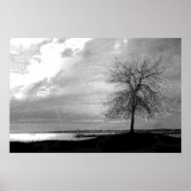 Lonesome Tree 36 x 24 Poster