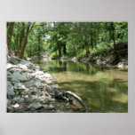 Lonesome Tributary Posters
