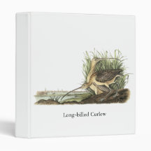 Long-billed Curlew, John Audubon Binder