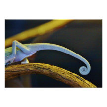 Long Chameleon Tail Invite
